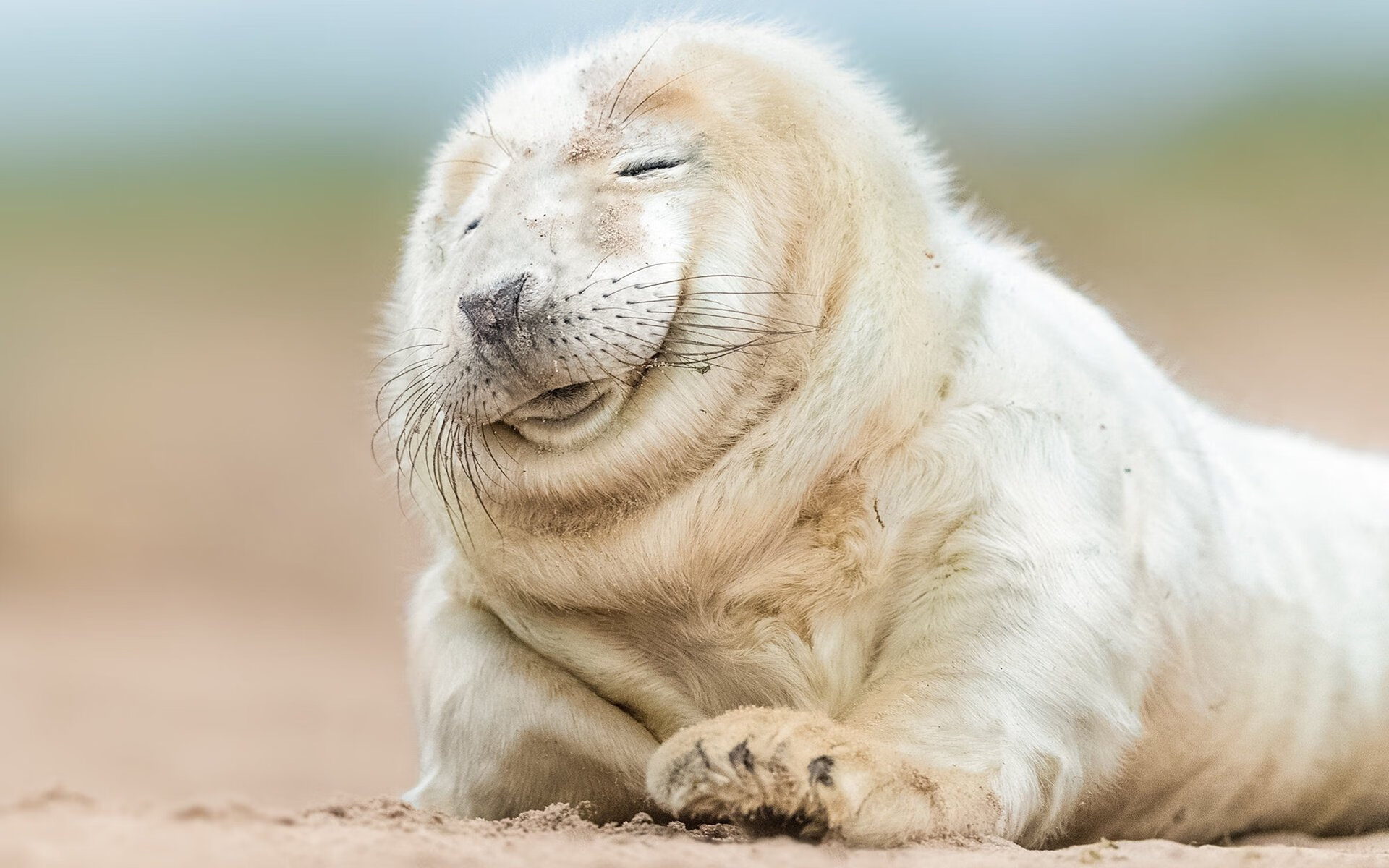 德甲争冠焦点战,魔术决胜局带走骑士,冠军悬念再起波澜