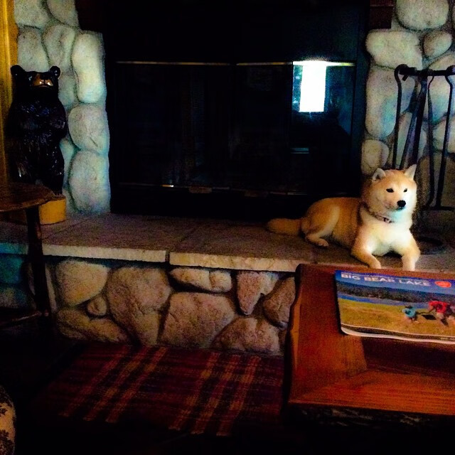 约基奇跨界掌控全场,一场虚拟对决中掘金核心如何定义现代篮球胜负逻辑